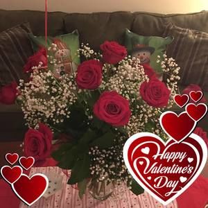 Meet your Posher, Ann